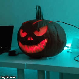 halloween_punpkin_00.gif halloween_punpkin_00.gif